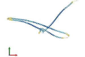 AlphaFold protein structure predicition of Mouse Recombinant Mns1 Protein, UniprotID Q61884 (MNS1 Protein (AA 1-491) (His tag))