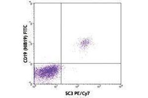Flow Cytometry (FACS) image for anti-CD40 (CD40) antibody (PE-Cy7) (ABIN2659262) (CD40 antibody  (PE-Cy7))