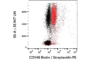 Surface staining of human peripheral blood leukocytes using anti-CD148 (MEM-CD148/05) biotin. (PTPRJ antibody  (AA 1-444) (Biotin))