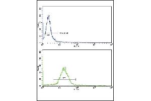 Flow cytometric analysis of MDA-231 cells using WNT10B Antibody (Center)(bottom histogram) compared to a negative control cell (top histogram). (WNT10B antibody  (AA 193-222))