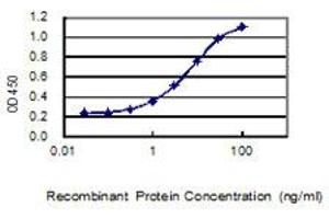 Detection limit for recombinant GST tagged VSTM1 is 0. (VSTM1 antibody  (AA 1-174))