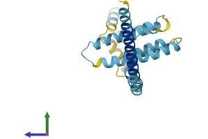 AlphaFold protein structure predicition of Human Recombinant REEP5 Protein, UniprotID Q00765 (REEP5 Protein (AA 1-189) (His tag))
