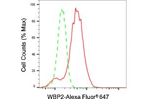 Flow cytometric analysis of WBP2 expression in HepG2 cells using WBP2 antibody (ABIN7800868), 1:2,000).