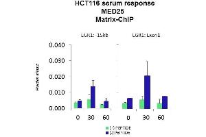 Quiescent human colon carcinoma HCT116 cultures were treated with 10% FBS for three time points (0, 15, 30min) or (0, 30, 60min) were used in Matrix-ChIP and real-time PCR assays at EGR1 gene (Exon1) and 15kb upstream site. (MED25 antibody  (C-Term))