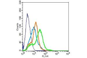 RSC96 probed with KCNQ2 Polyclonal Antibody, Unconjugated  ) at 3ug for 30 minutes followed by incubation with a conjugated secondary -FITC) (green) for 30 minutes compared to control cells (blue), secondary only (light blue) and isotype control (orange). (KCNQ2 antibody  (AA 91-150))