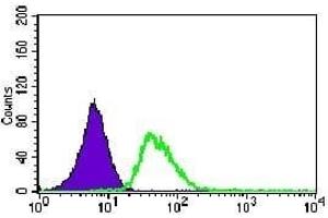 Flow cytometric analysis of HeLa cells using KIF11 mouse mAb (green) and negative control (purple). (KIF11 antibody)
