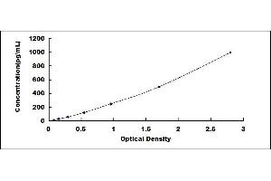 Typical standard curve (BACE1 ELISA Kit)