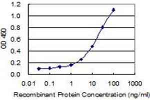 Detection limit for recombinant GST tagged CNTLN is 0. (CNTLN antibody  (AA 971-1070))