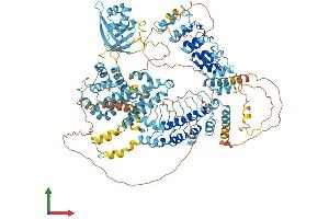 AlphaFold protein structure predicition of Human Recombinant ANKRD27 Protein, UniprotID Q96NW4