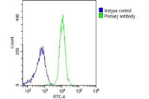 Overlay histogram showing K562 cells stained with Antibody (green line). (PPID antibody  (AA 336-370))