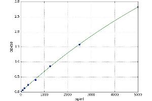 ATP-Binding Cassette, Sub-Family A (ABC1), Member 13 (ABCA13) ELISA Kit