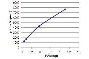 Bioactivity measured with Activity Assay (PAM Protein (Transcript Variant 3) (Myc-DYKDDDDK Tag))