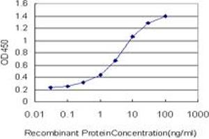 Detection limit for recombinant GST tagged OXSR1 is approximately 0. (OXSR1 antibody  (AA 1-527))