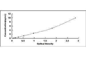 Typical standard curve (C1R ELISA Kit)