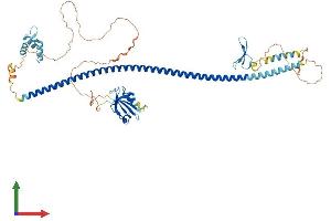 AlphaFold protein structure predicition of Human Recombinant STXBP4 Protein, UniprotID Q6ZWJ1