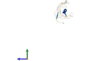 Protein Structure (PS) image for Coiled-Coil Domain Containing 62 (CCDC62) (AA 1-701) protein (His tag) (ABIN7562118)