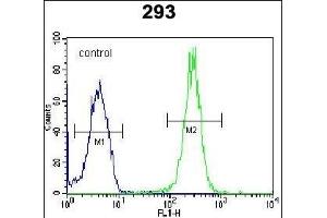LRRC57 Antibody (C-term) (ABIN654494 and ABIN2844226) flow cytometric analysis of 293 cells (right histogram) compared to a negative control cell (left histogram). (LRRC57 antibody  (C-Term))