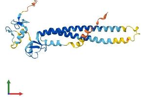 Protein Structure (PS) image for Tripartite Motif Containing 40 (TRIM40) (AA 1-258) protein (His tag) (ABIN7544746)