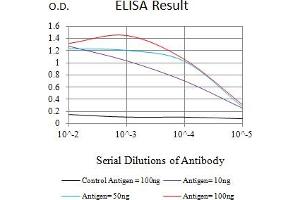 Black line: Control Antigen (100 ng),Purple line: Antigen (10 ng), Blue line: Antigen (50 ng), Red line:Antigen (100 ng) (PI16 antibody  (AA 79-210))