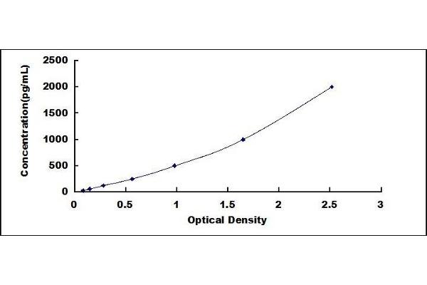 GREM2 ELISA Kit