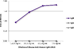 ELISA plate was coated with purified human IgM, IgG, and IgA. (Mouse anti-Human IgM Antibody)