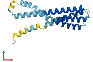 AlphaFold protein structure predicition of Human Recombinant SSR3 Protein, UniprotID Q9UNL2