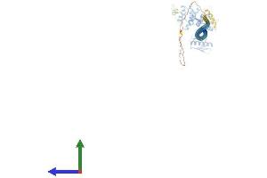 Protein Structure (PS) image for Differentially Expressed in FDCP 6 Homolog (DEF6) (AA 1-630) protein (His tag) (ABIN7564507)
