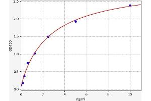 DKK4 ELISA Kit