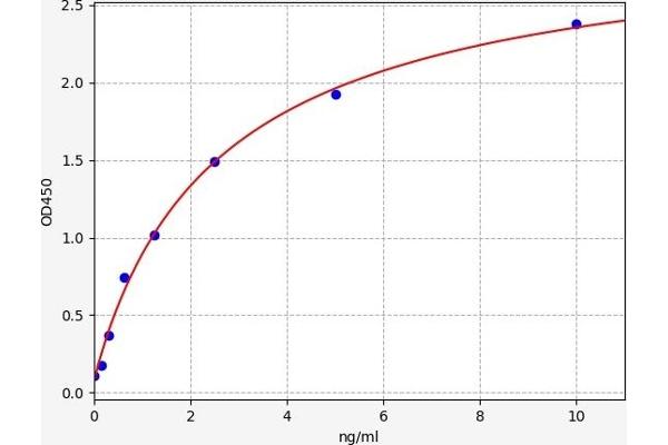 DKK4 ELISA Kit