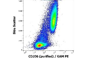 Flow cytometry surface staining pattern of human stimulated (GM-CSF + IL-4) peripheral blood mononuclear cells stained using anti-human CD206 (15-2) purified antibody (concentration in sample 9 μg/mL), GAM PE. (Macrophage Mannose Receptor 1 antibody)