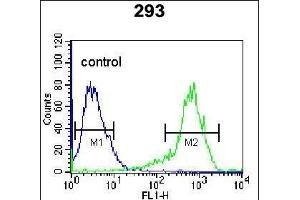 KARS Antibody (N-term) (ABIN655049 and ABIN2844677) flow cytometric analysis of 293 cells (right histogram) compared to a negative control cell (left histogram). (KARS antibody  (N-Term))