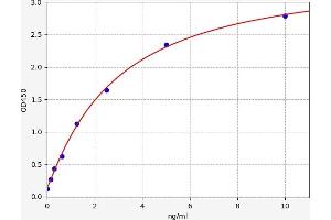 PDHB ELISA Kit