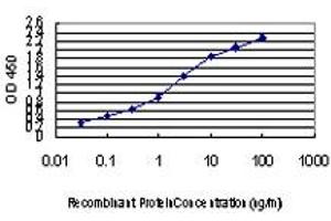 Detection limit for recombinant GST tagged PIK3R4 is approximately 0. (PIK3R4 antibody  (AA 1259-1358))