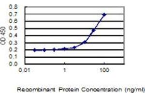 Detection limit for recombinant GST tagged NSD1 is 3 ng/ml as a capture antibody. (NSD1 antibody  (AA 2-109))