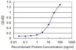 Detection limit for recombinant GST tagged GJB1 is 0. (GJB1 antibody  (AA 75-174))