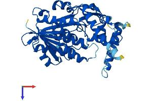 AlphaFold protein structure predicition of Mouse Recombinant Hsd3b3 Protein, UniprotID P26150 (Hsd3b3 Protein (AA 1-373) (His tag))