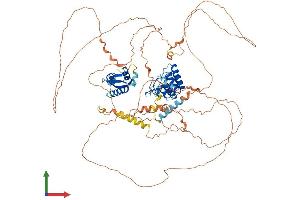 AlphaFold protein structure predicition of Human Recombinant SOWAHB Protein, UniprotID A6NEL2