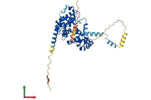 Protein Structure (PS) image for TBC1 Domain Family, Member 20 (TBC1D20) (AA 1-402) protein (His tag) (ABIN7561171)