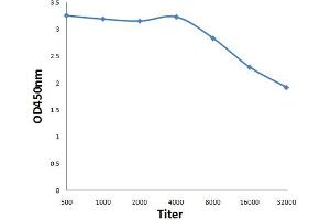 Antigen: 0. (STAU1/Staufen antibody)