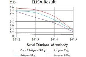 Black line: Control Antigen (100 ng), Purple line: Antigen(10 ng), Blue line: Antigen (50 ng), Red line: Antigen (100 ng), (WDR66 antibody  (AA 1-250))