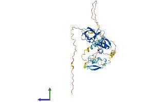 AlphaFold protein structure predicition of Mouse Recombinant Stac3 Protein, UniprotID Q8BZ71 (STAC3 Protein (AA 1-360) (His tag))