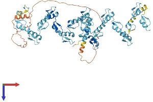 AlphaFold protein structure predicition of Human Recombinant ZNF443 Protein, UniprotID Q9Y2A4