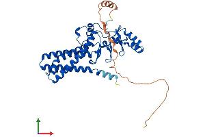 AlphaFold protein structure predicition of Human Recombinant ZDHHC20 Protein, UniprotID Q5W0Z9