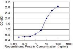 Sandwich ELISA detection sensitivity ranging from 1 ng/mL to 100 ng/mL. (GCG (Human) Matched Antibody Pair)