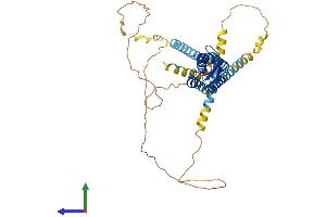 AlphaFold protein structure predicition of Mouse Recombinant Gjc2 Protein, UniprotID Q8BQU6