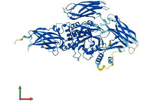 Protein Structure (PS) image for Transglutaminase 7 (TGM7) (AA 1-710) protein (His tag) (ABIN7544280)