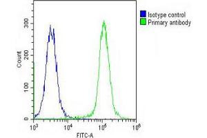 Overlay histogram showing K562 cells stained with Antibody (green line). (RASIP1 antibody  (AA 651-678))