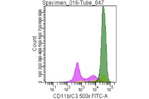 Image no. 2 for anti-CD11b/C3 antibody (ABIN920591) (CD11b/C3 antibody)