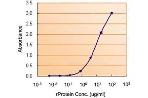 ELISA Image ELISA detection of MIF using  for capture at a concentration of 5 µg/mL and  for detection at a concentration of 1. (MIF antibody)