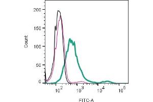 Cell surface detection of NPTXR by direct flow cytometry in live intact human  MG glioblastoma cell line: + Rabbit IgG isotype control-FITC (ABIN7582044).